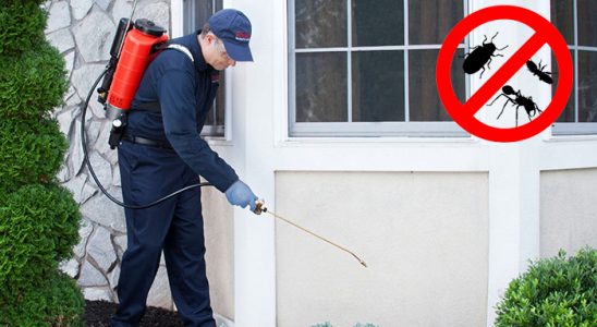 Ayvacık Fare İlaçlama böcek ilaçlama ve haşere kontrolü — ilaclama-tr.com